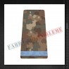 Grade militare elev negradat - Forte Terestre COMBAT (colegii militare)