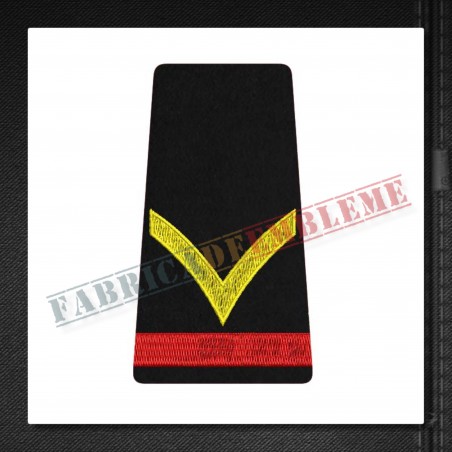 Grade militare fruntas student - Forte Terestre - ORAS