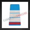 Grade militare plutonier major student - Forte Aeriene - ORAS