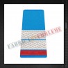 Grade militare plutonier student - Forte Aeriene - ORAS