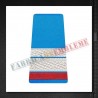 Grade militare sergent major student - Forte Aeriene - ORAS