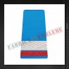 Grade militare sergent student - Forte Aeriene - ORAS
