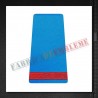 Grade militare student negradat - Forte Aeriene - ORAS