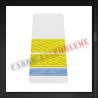 Grade militare elev plutonier - Forte Navale (colegii militare) - ORAS alb