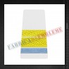 Grade militare elev sergent major - Forte Navale (colegii militare) - ORAS alb