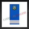 Grade militare elev sau student sergent - Jandarmi