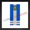 Grade militare locotenent colonel - Jandarmi
