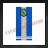 Grade militare maior - Jandarmi