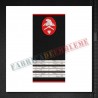 Grade militare capitan pompieri