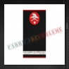 Grade militare sublocotenent pompieri