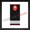 Grade militare elev sau student sergent - Pompieri