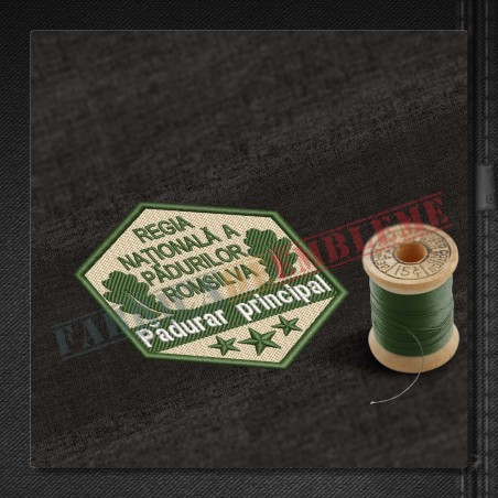 Grade profesionale Padurar principal gradatia I